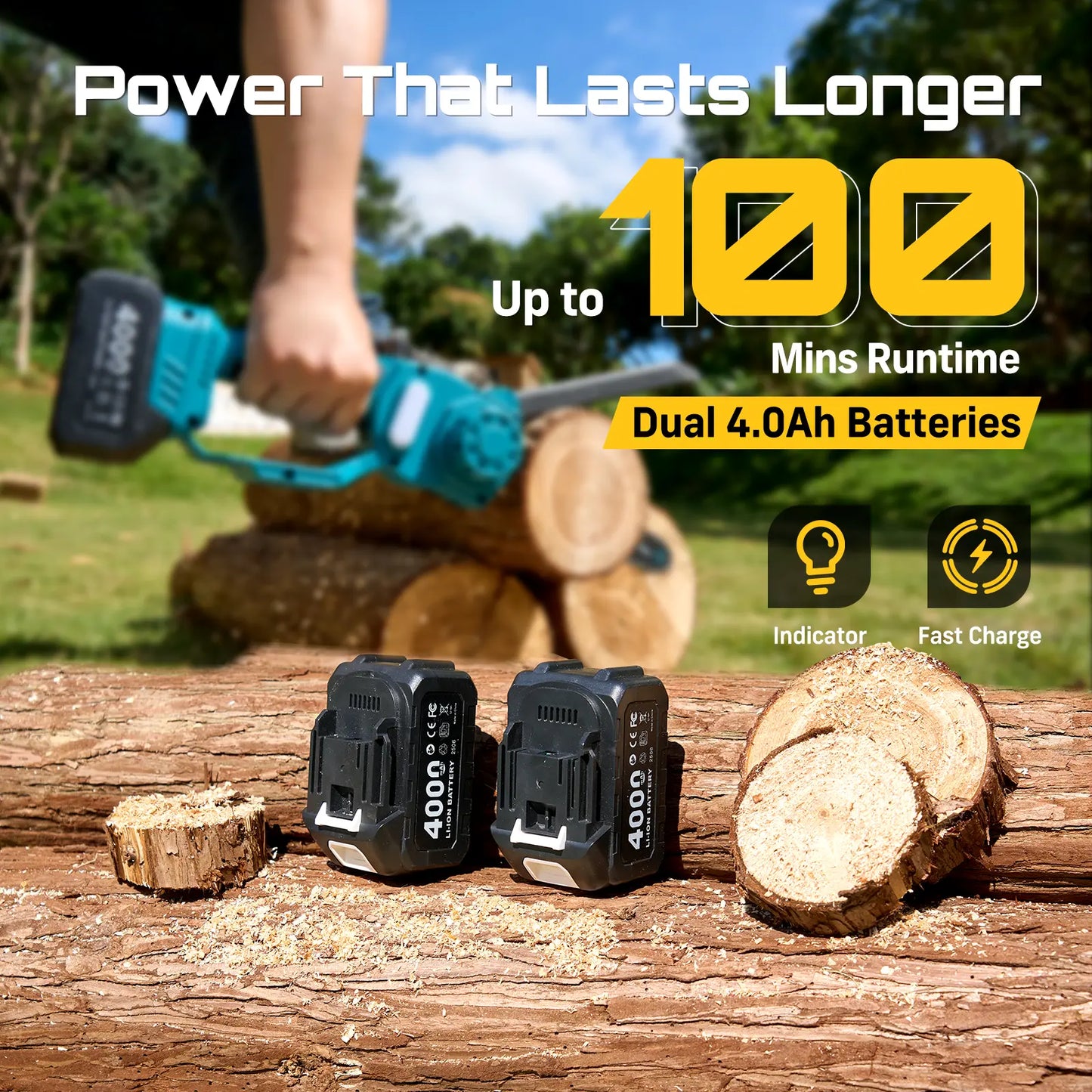 2-in-1 Cordless High Pole Saw and Mini Chainsaw